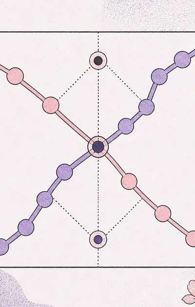Proximity Friction: Roommate and Shared Living Dynamics